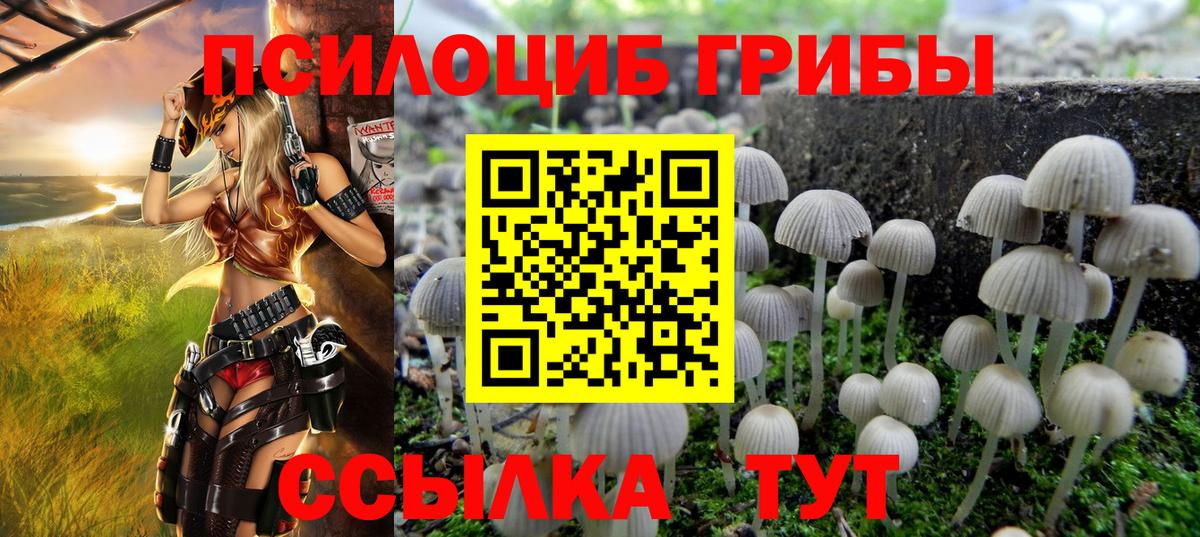купить наркотик  Вход с VPN  Феодосия  Псилоцибиновые грибы прущие грибы 