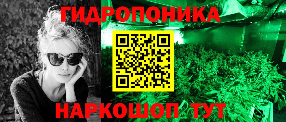 Шишки марихуана сатива Феодосия